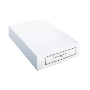 RAMETTE STANDARD BLANC A4 80GRS (500)