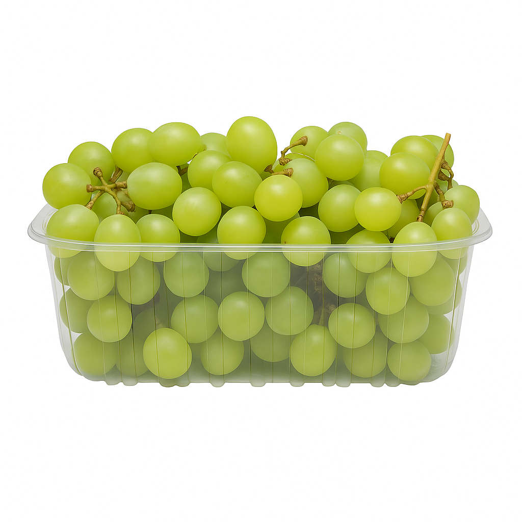 BARQUETTE PLASTIQUE 500GRS POUR FRUITS
