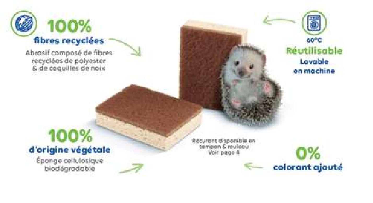 EPONGE GRATTANTE ECO RESPONSABLE(10)