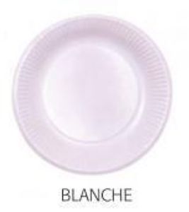 ASSIETTE CARTON BLANC 23CM RONDE (100)